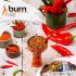 Заказать кальянный табак Burn Fire (Берн Фаер) 20г онлайн с доставкой всей России фото - 2 Заказать кальянный табак Burn Fire (Берн Фаер) 20г онлайн с доставкой всей России фото - 2